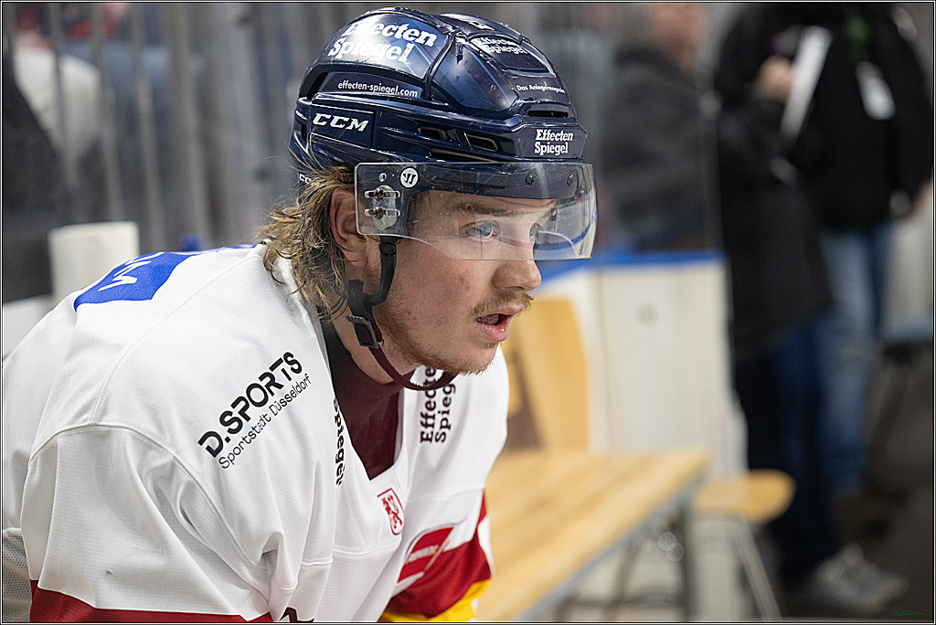 PENNY DEL; Koelner Haie-Duesseldorfer EG ; Koeln, 16.02.2025